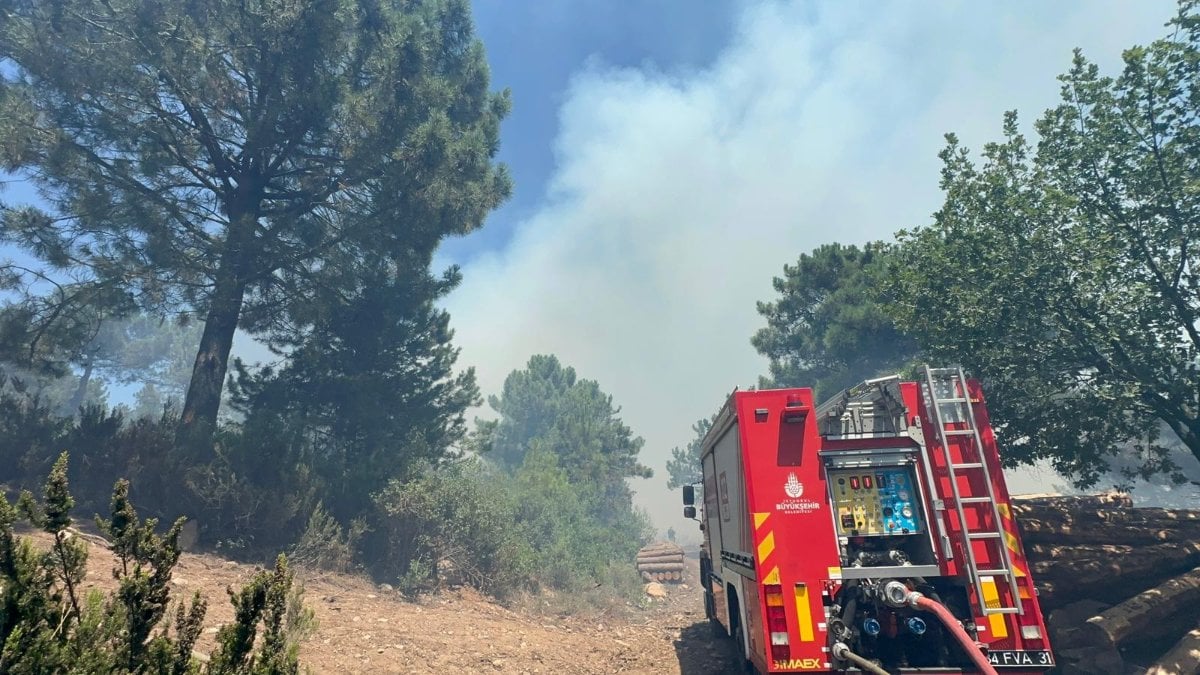 İstanbul Aydos Ormanı’nda yangın